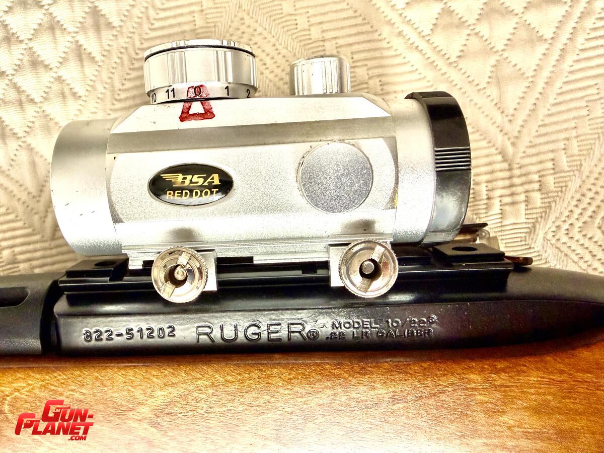 Ruger 1022