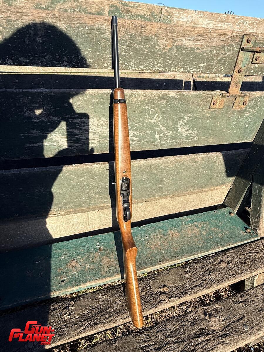 Ruger 10/22