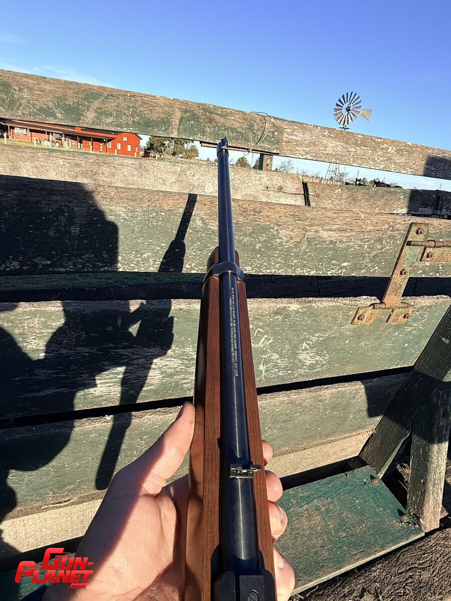 Ruger 10/22
