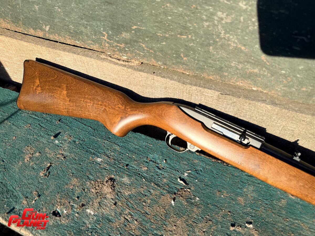 Ruger 10/22