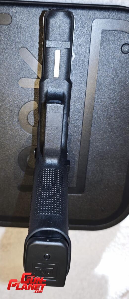 Glock 21
