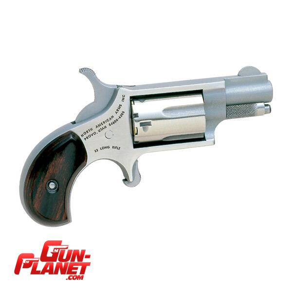 North American 22 LR NAA MINI