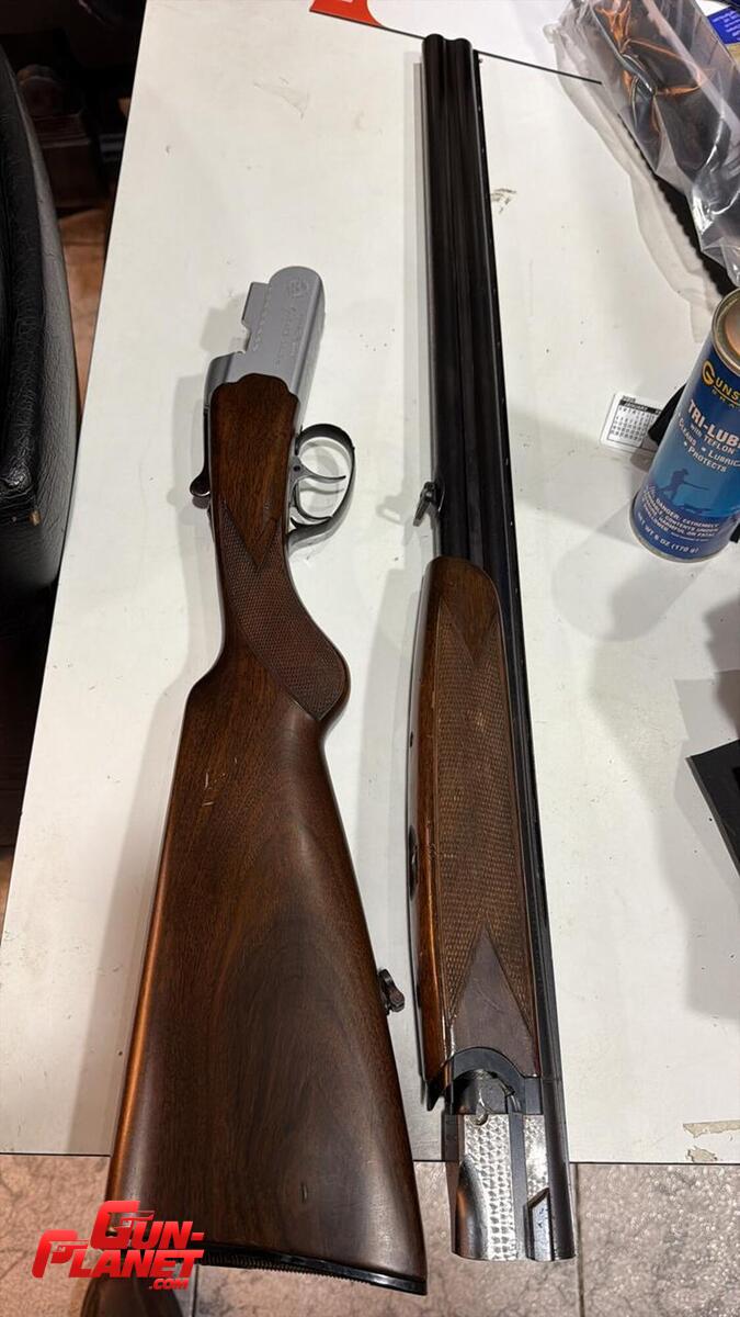 Beretta s55