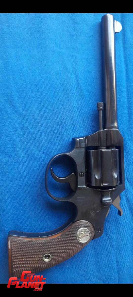 Colt Police Positive