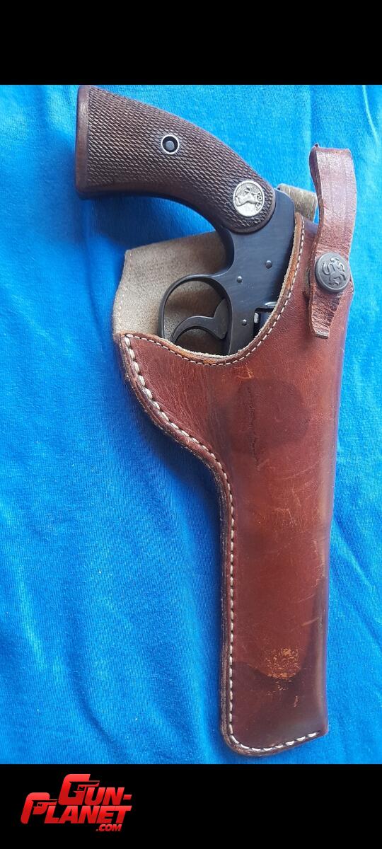 Colt Police Positive