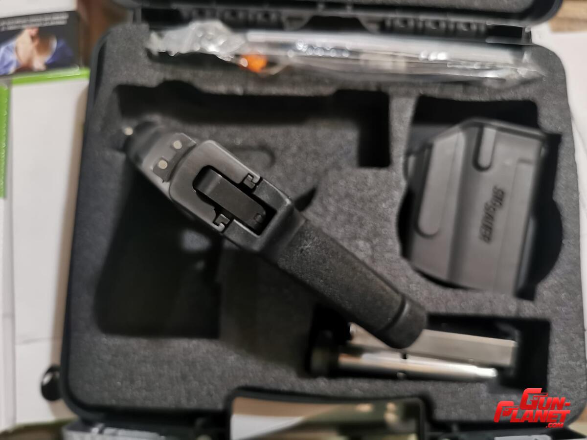 Sig Sauer P290 